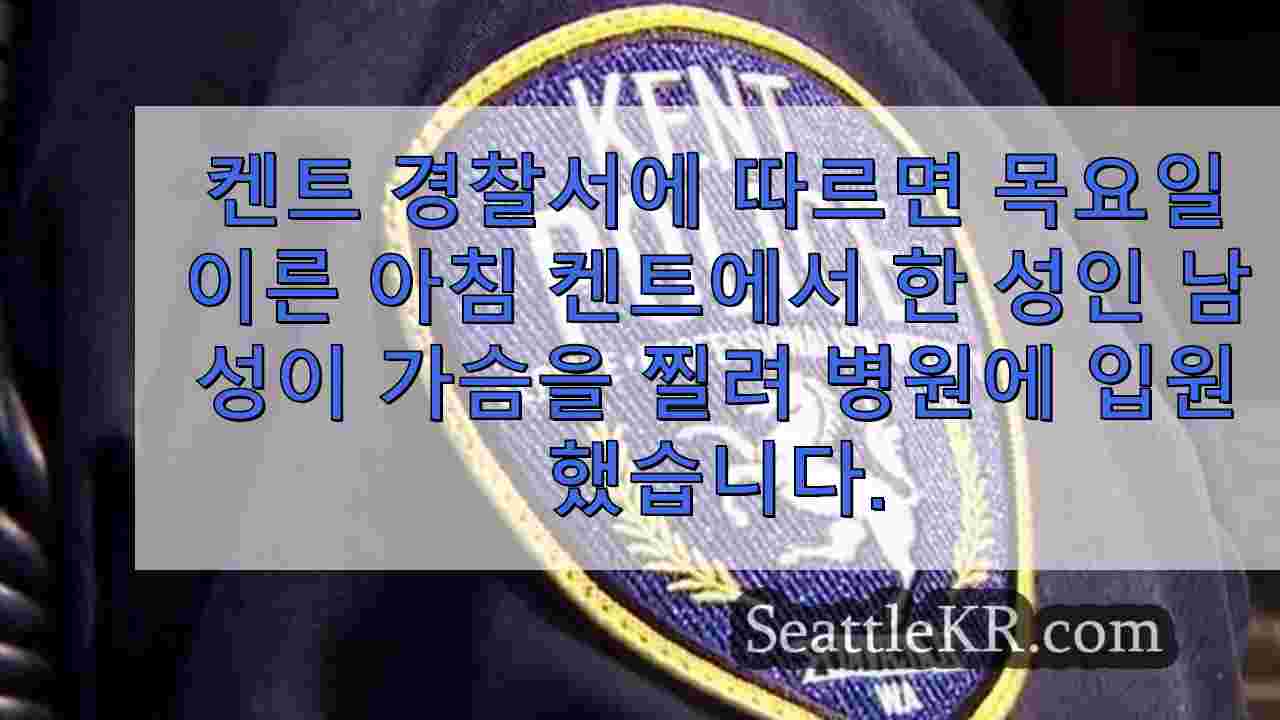 시애틀 뉴스 SeattleKR