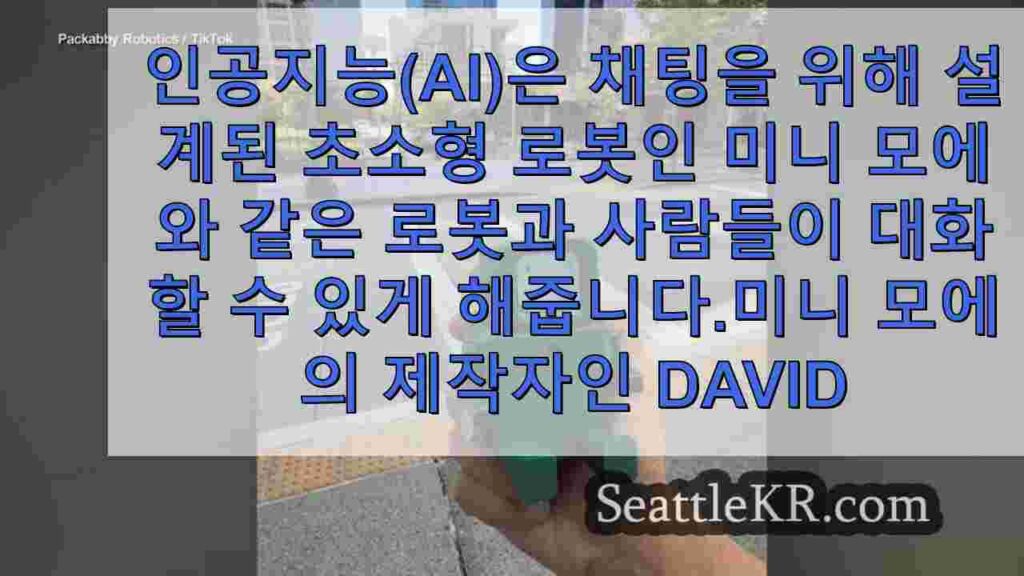 AI 소셜 로봇으로 사람들과 함께 지내는 데 도움을 줄 수 있다고