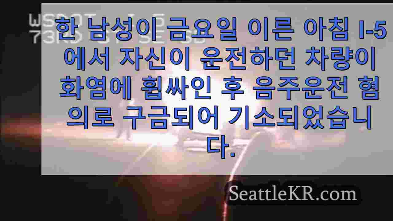 불타는 SUV 앞에서 셀카를 찍는 남성, 음주 운전 및 마약 소지