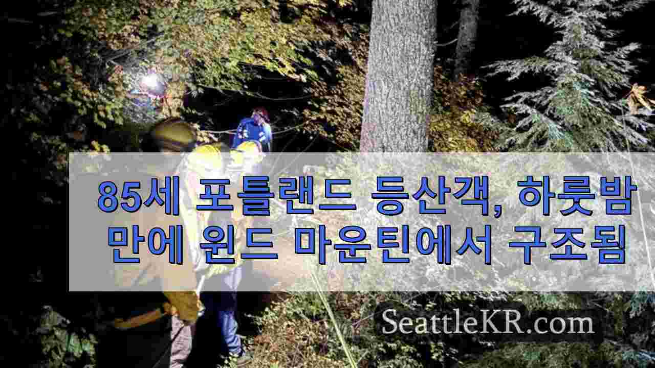 포틀랜드의 85세 등산객, 밤새 수색 끝에 윈드 마운틴에서 구조됨