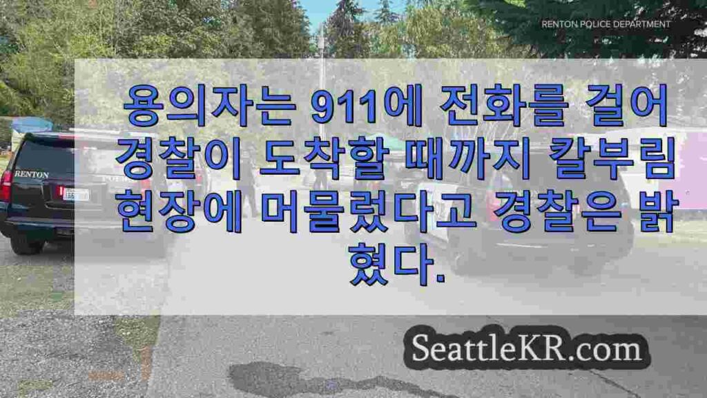 렌튼에서 65 세 남성을 치명적으로 찌른 혐의로 기소 된 10 대는