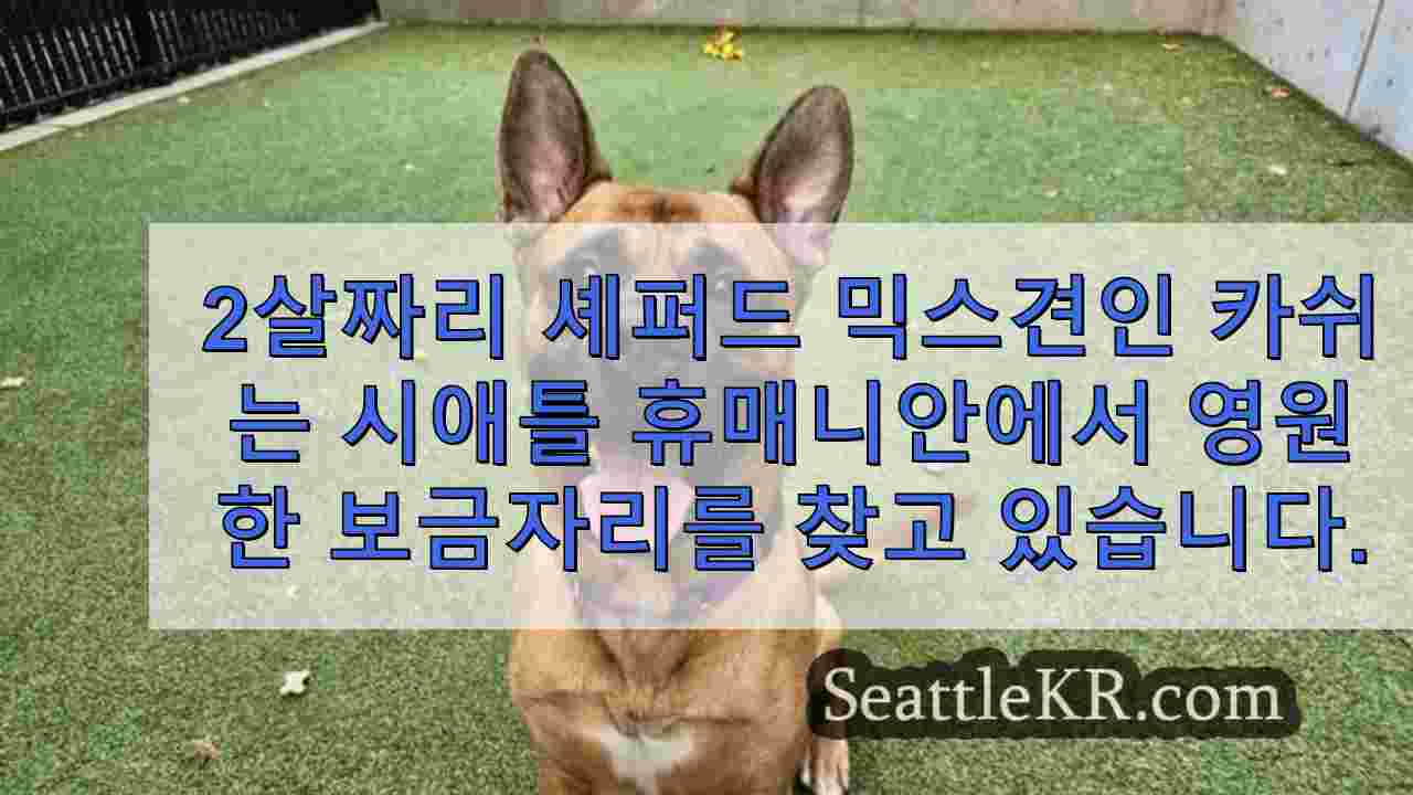 시애틀 뉴스 SeattleKR