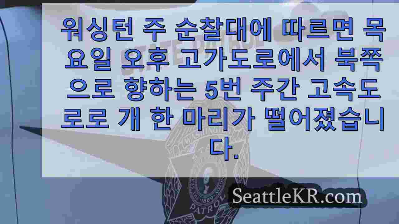 시애틀의 고가도로에서 5번 고속도로로 떨어진 개가 살아 남았습니다.