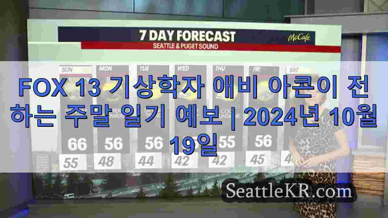 시애틀 날씨: 주말 대기 강 전망