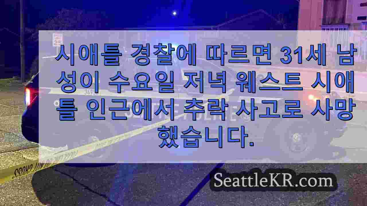 심야 추락 사고로 웨스트 시애틀에서 사망자 발생, 조사 진행 중