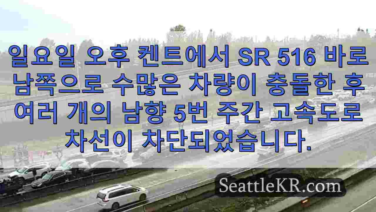 시애틀 뉴스 SeattleKR