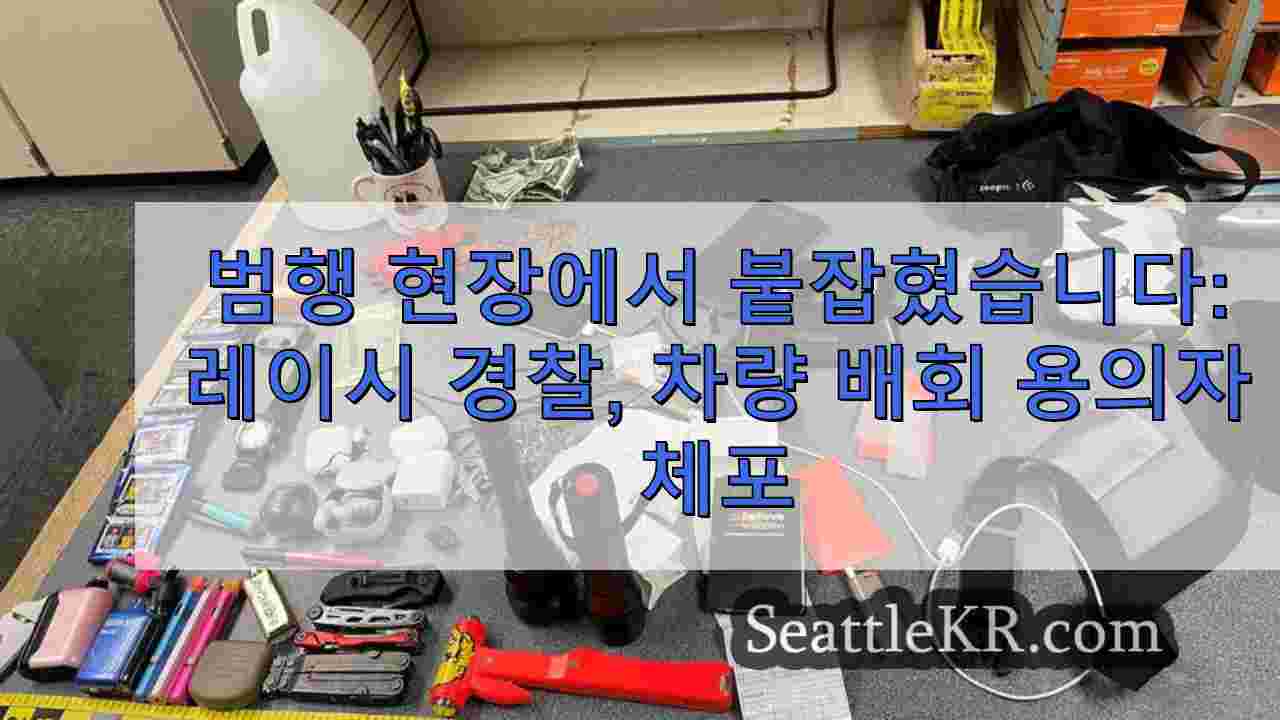 범행 현장에서 붙잡혔습니다: 레이시 경찰, 차량 배회 용의자 체포