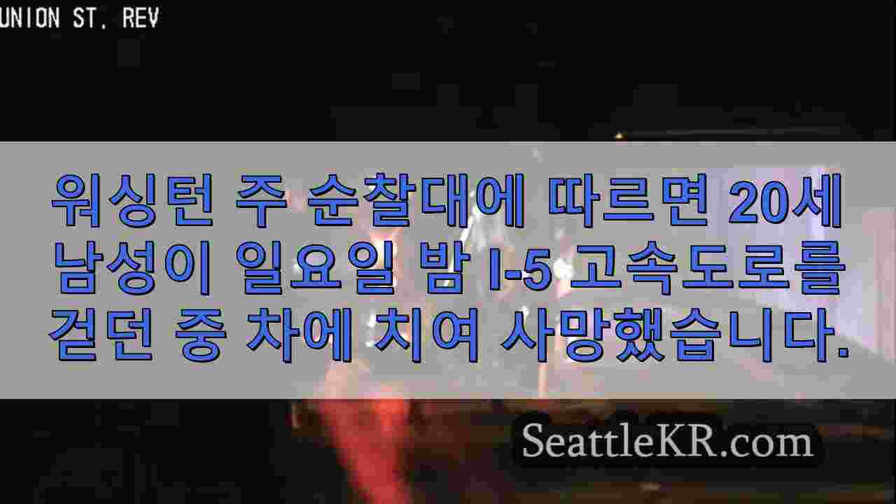 I-5 고속도로에서 음주운전 운전자가 보행자를 치어 사망케 한 사건