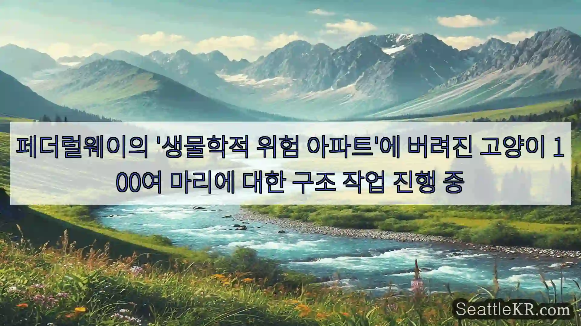 시애틀 뉴스 페더럴웨이의 '생물학적 위험 아파트'에 버려진 고양이 100여
