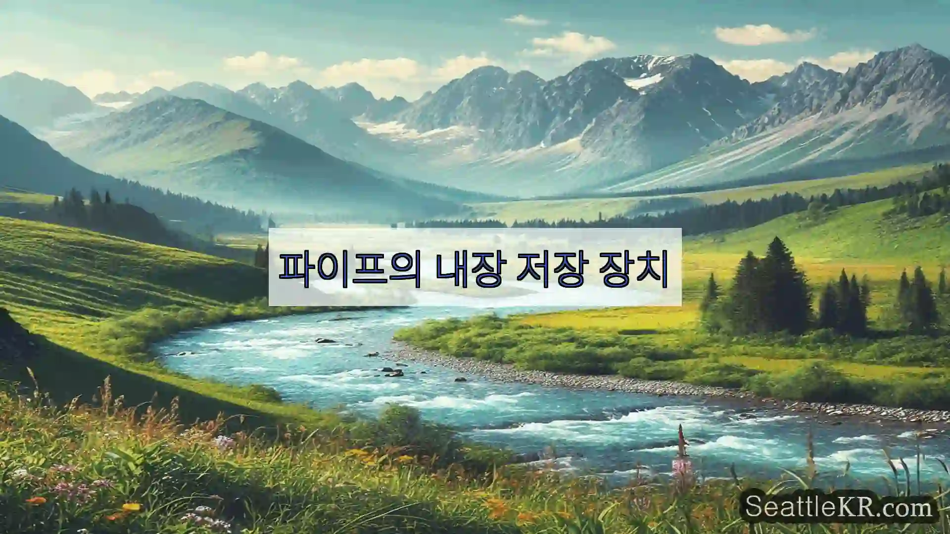 시애틀 뉴스 파이프의 내장 저장 장치