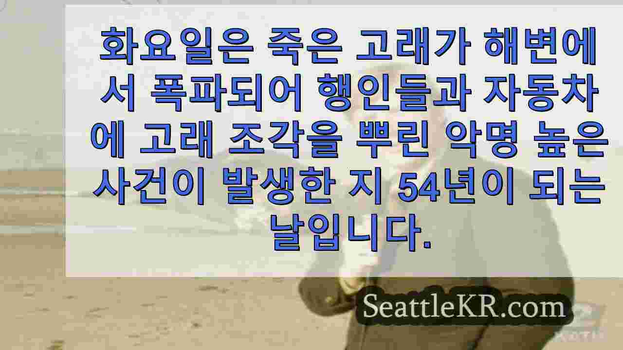 시애틀 뉴스 SeattleKR