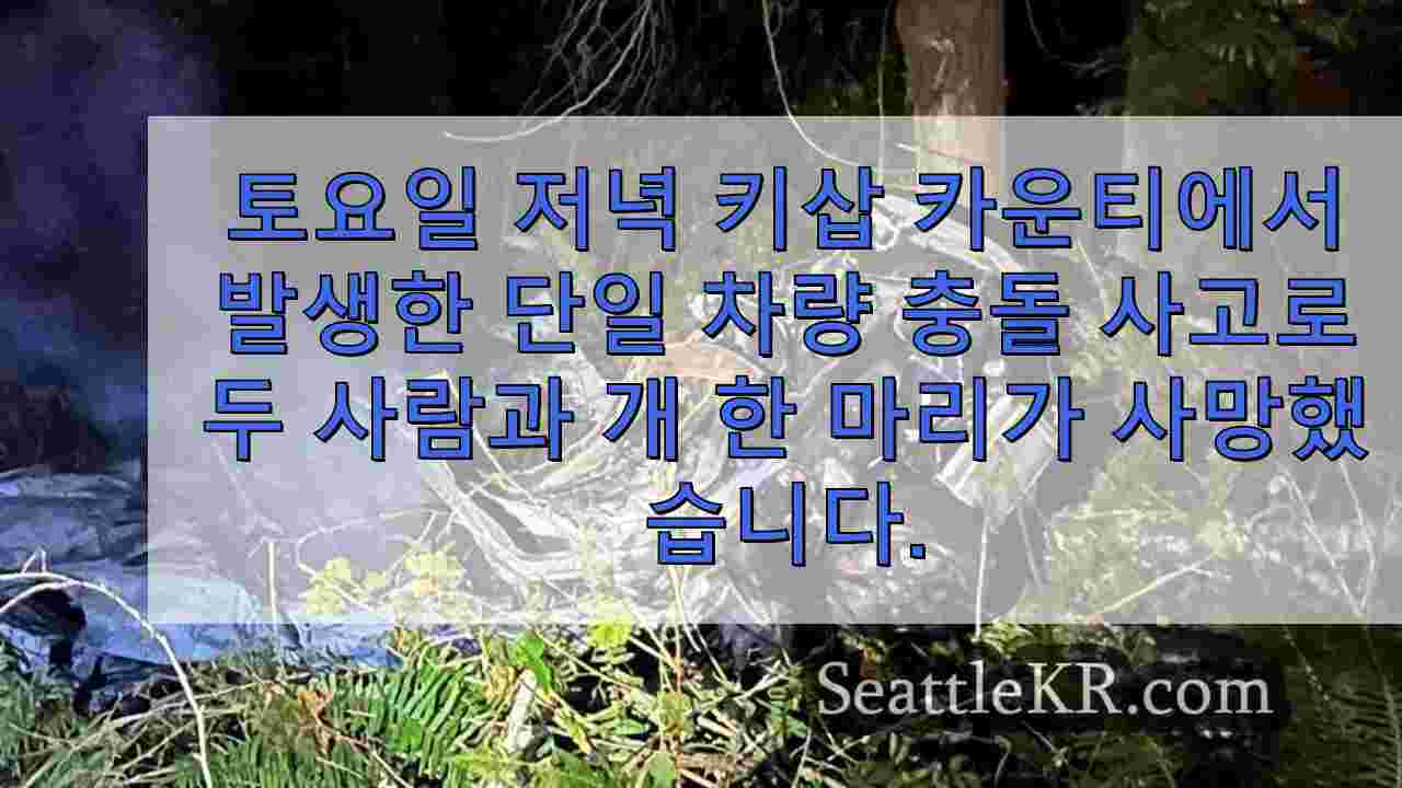 키삽 카운티에서 자동차 충돌 후 2 명, 개 사망