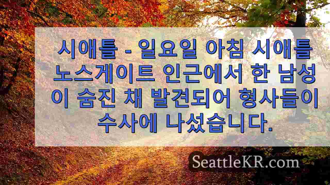 시애틀 뉴스 SeattleKR