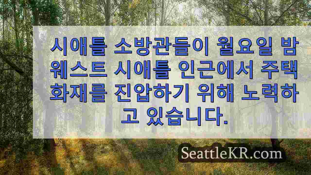 시애틀 뉴스 SeattleKR
