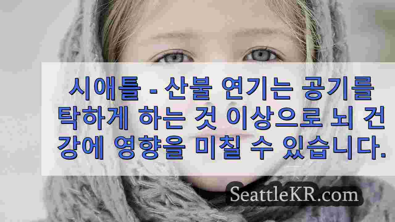 시애틀 뉴스 SeattleKR