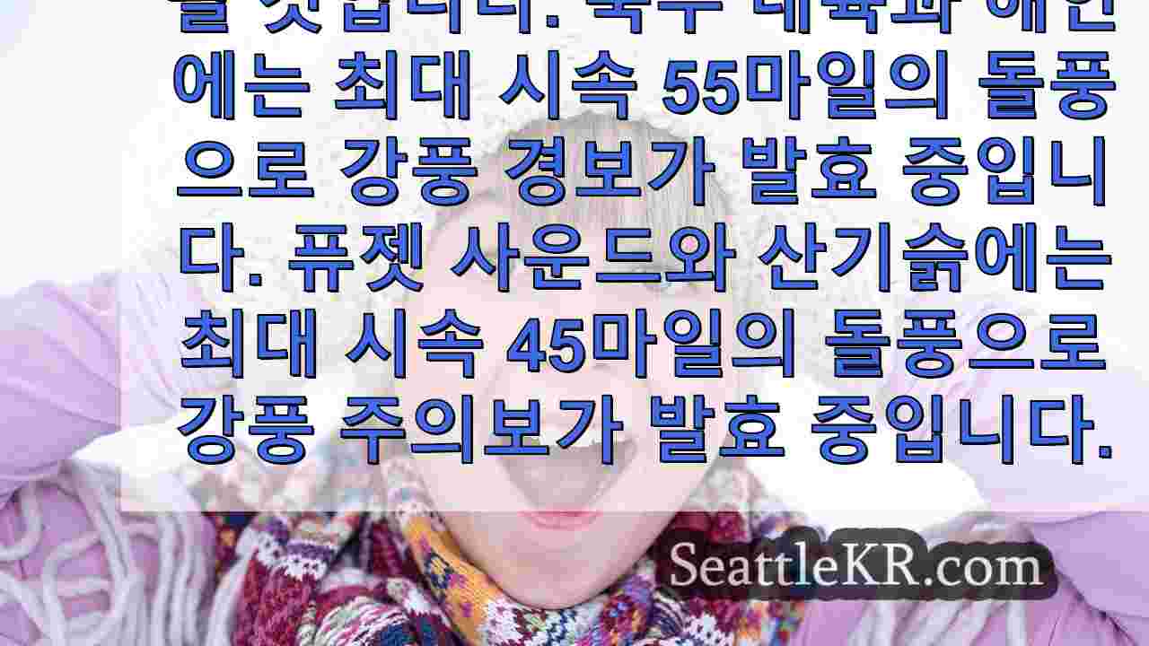 시애틀 뉴스 SeattleKR