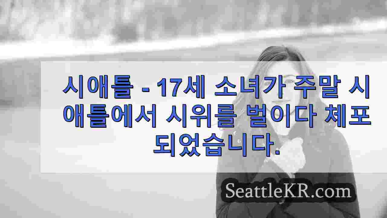 시애틀 뉴스 SeattleKR