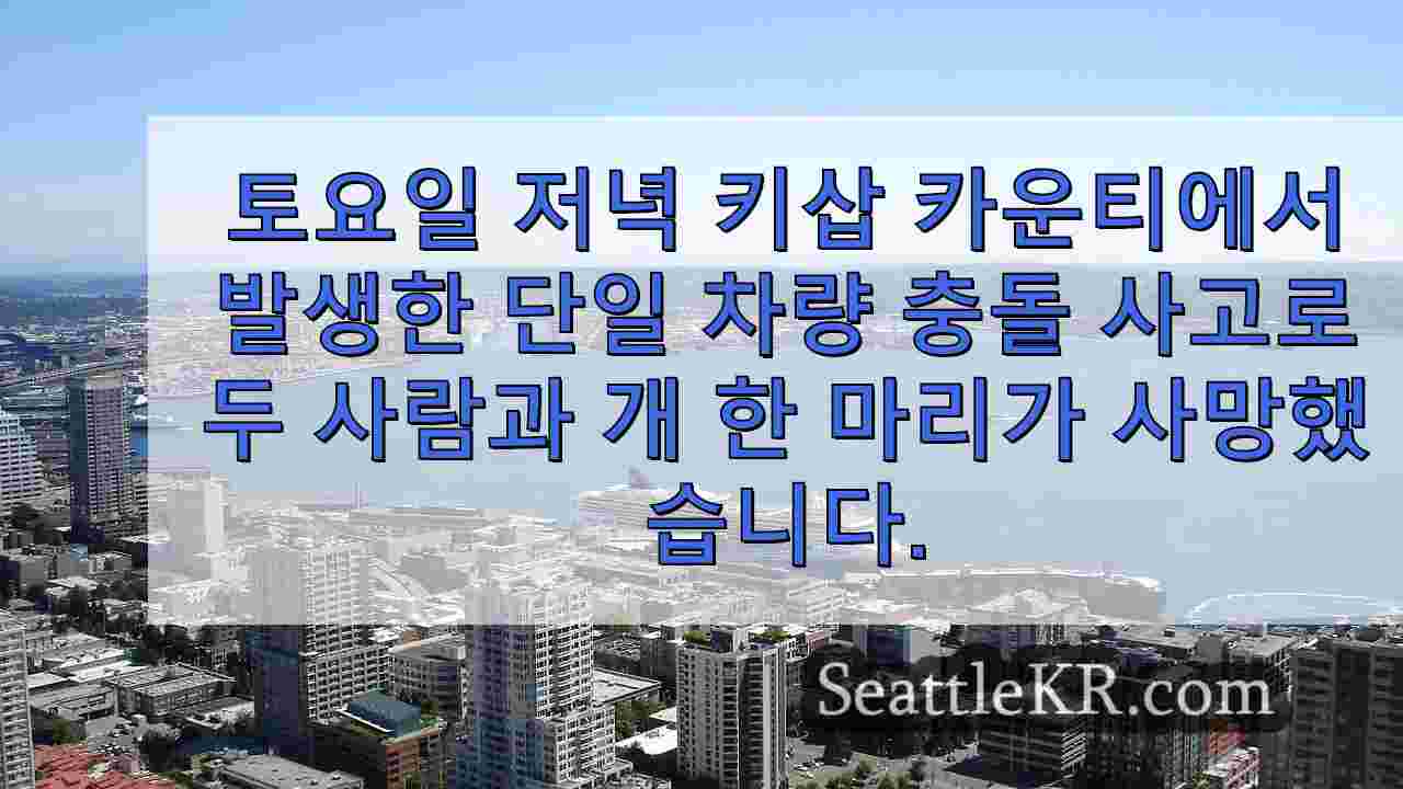 시애틀 뉴스 SeattleKR