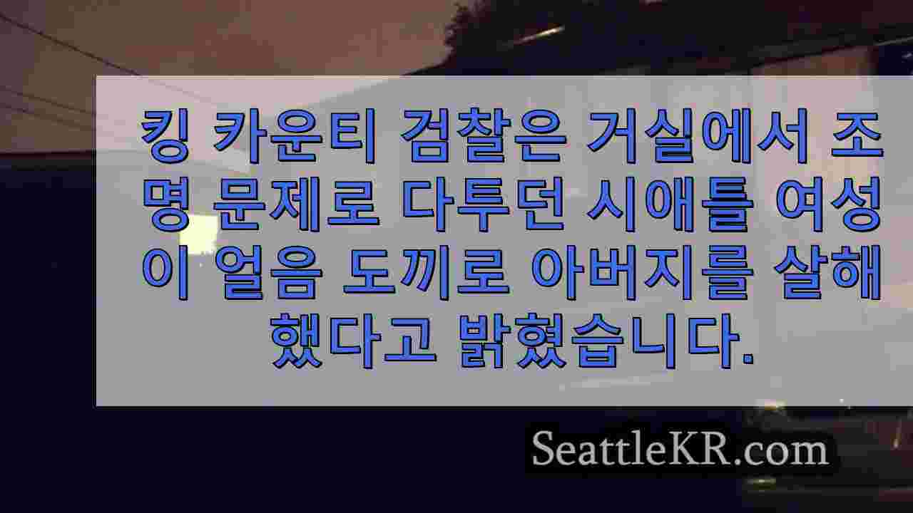 조명 문제로 말다툼 중 얼음 도끼로 아버지를 살해 한 혐의로 기소 된