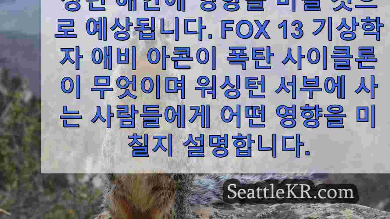 시애틀 뉴스 SeattleKR