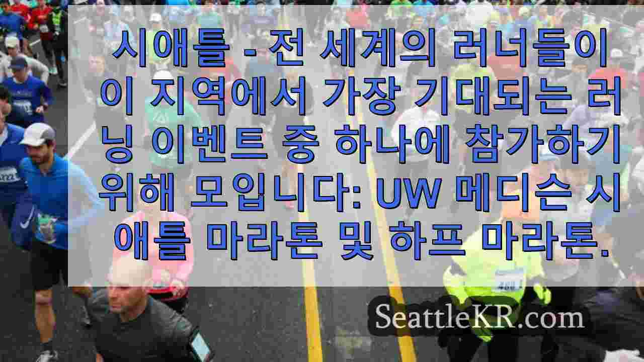 시애틀 마라톤 2024: 레이스에 대해 알아야 할 모든 것