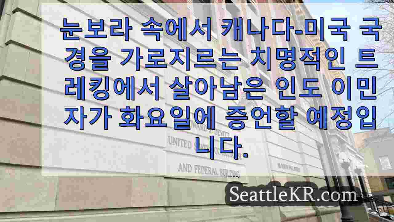 캐나다-미국 국경을 넘어 치명적인 인간 밀입국 여행의 생존자가 증언 할 것으로 예상됩니다.