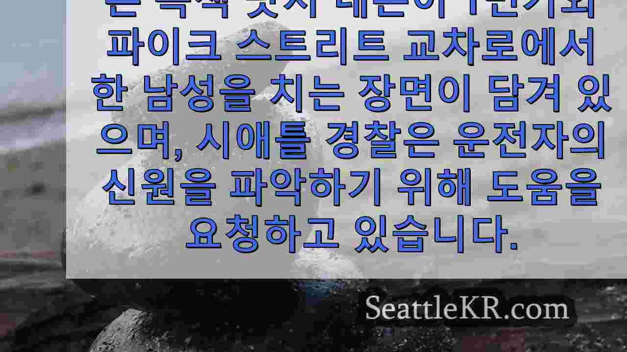 시애틀 뉴스 SeattleKR