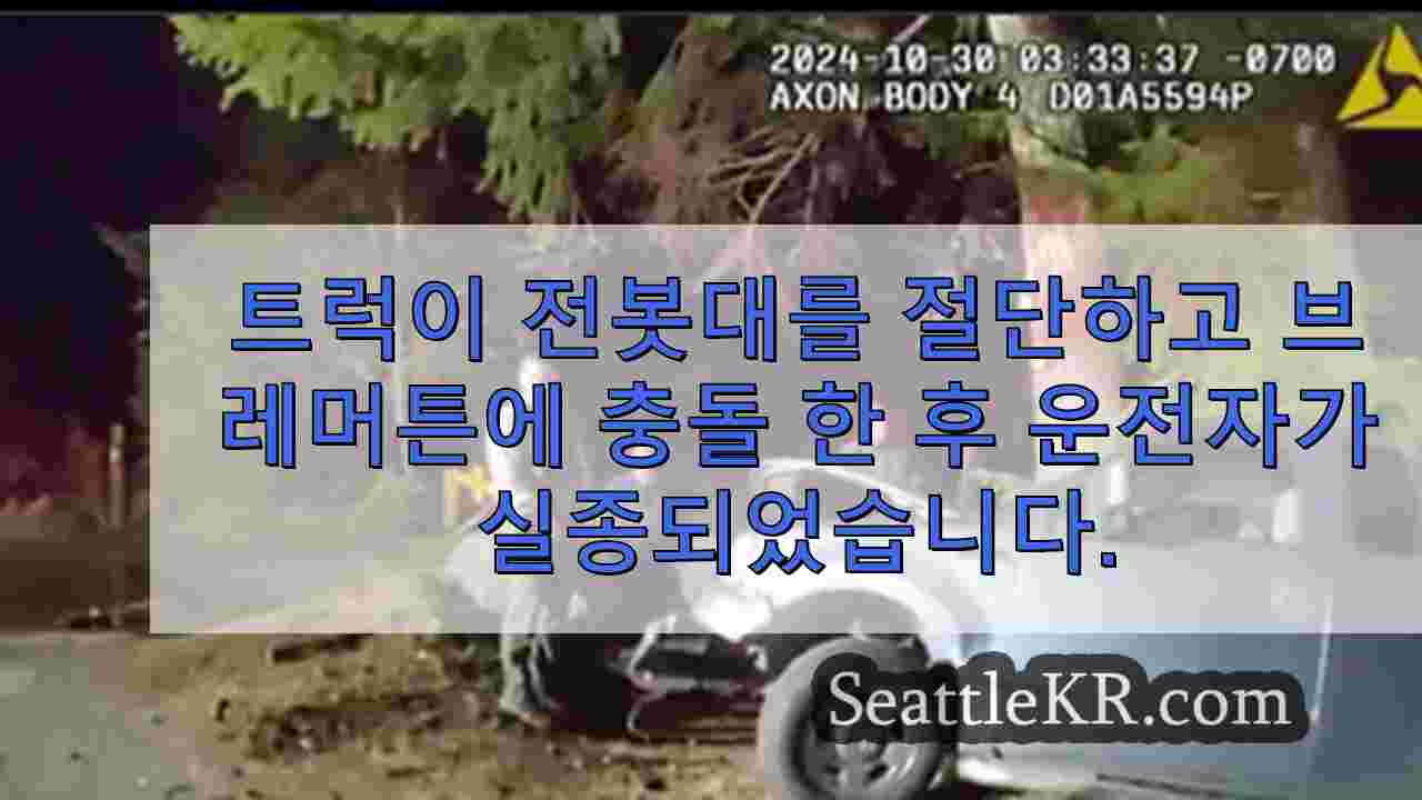 트럭이 전봇대를 들이받고 브레머튼 도랑에 충돌한 후 실종된 운전자
