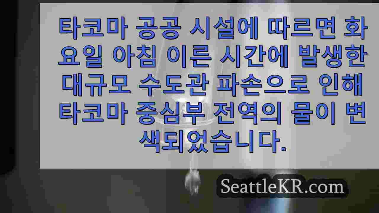 시애틀 뉴스 SeattleKR