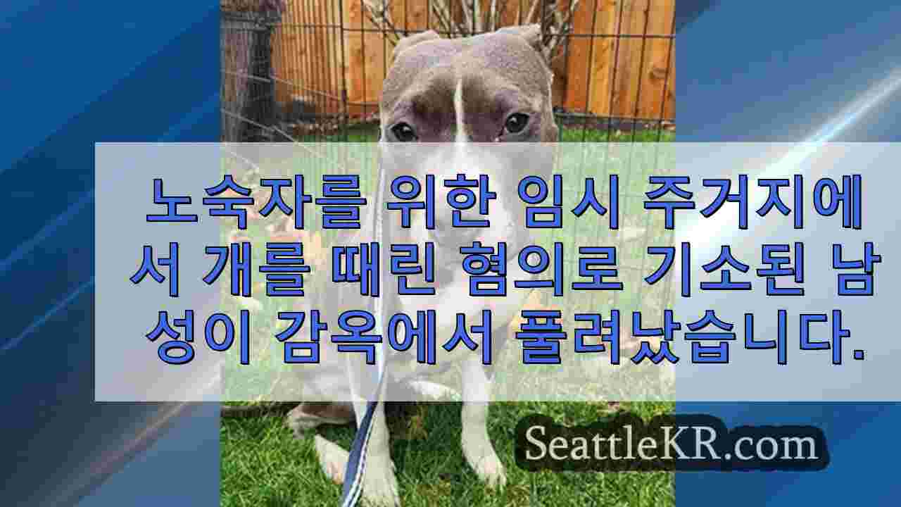 시애틀 뉴스 SeattleKR