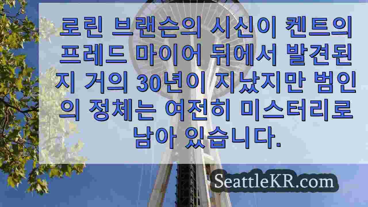 시애틀 뉴스 SeattleKR