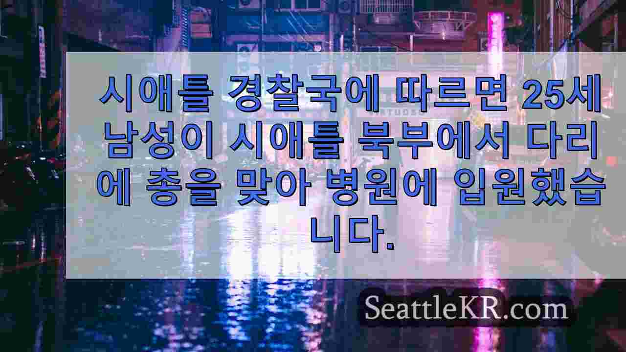 시애틀 뉴스 SeattleKR