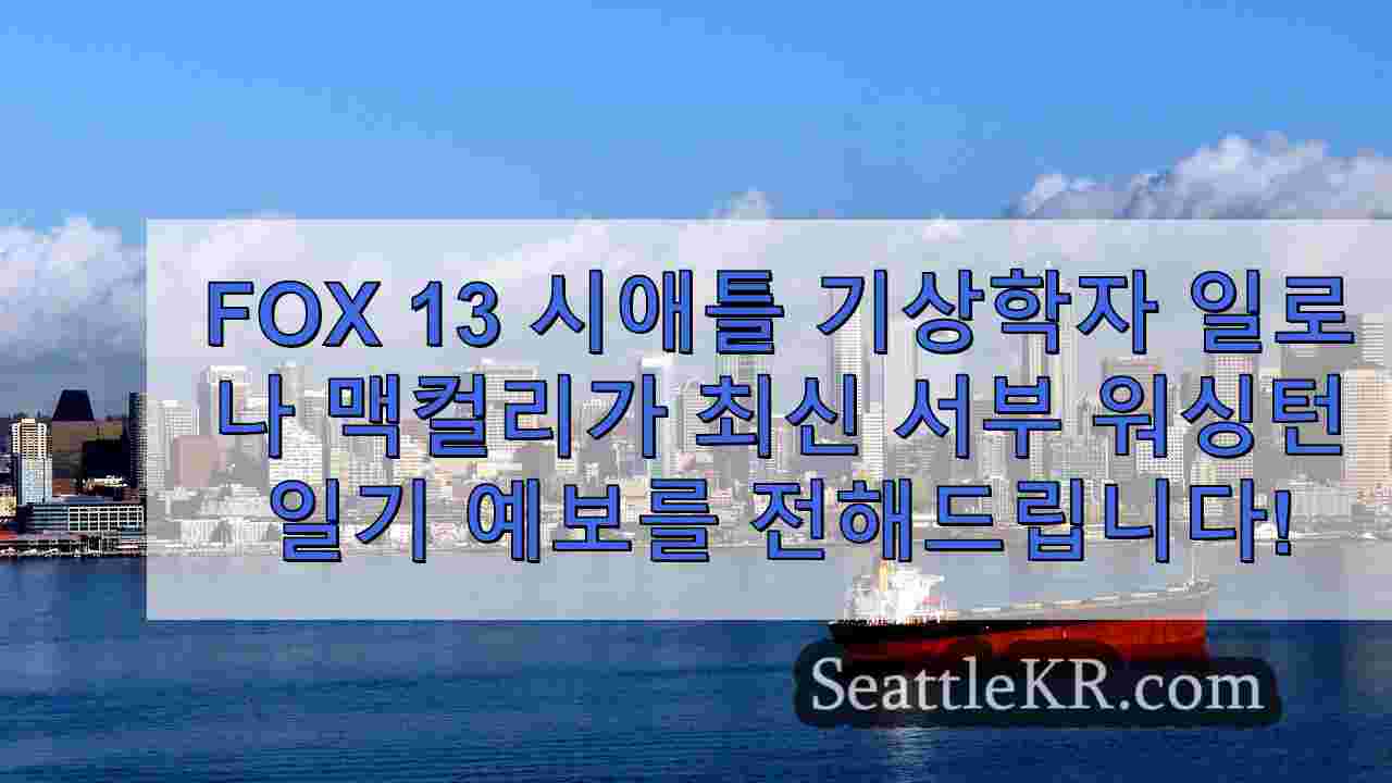 시애틀 날씨 목요일 산발적 소나기 금요일 더 많은 바람과 비