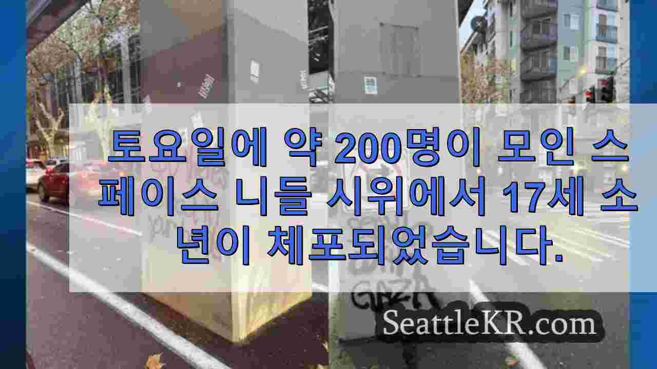 시애틀 뉴스 SeattleKR