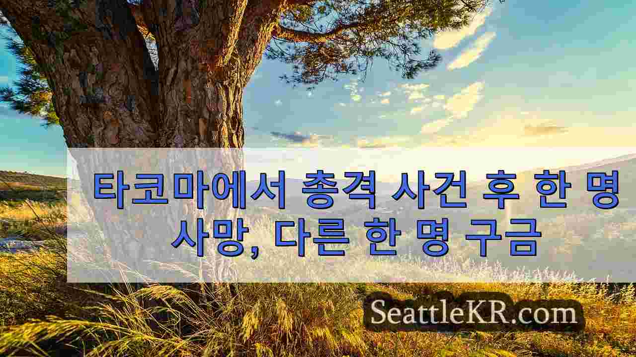 시애틀 뉴스 SeattleKR