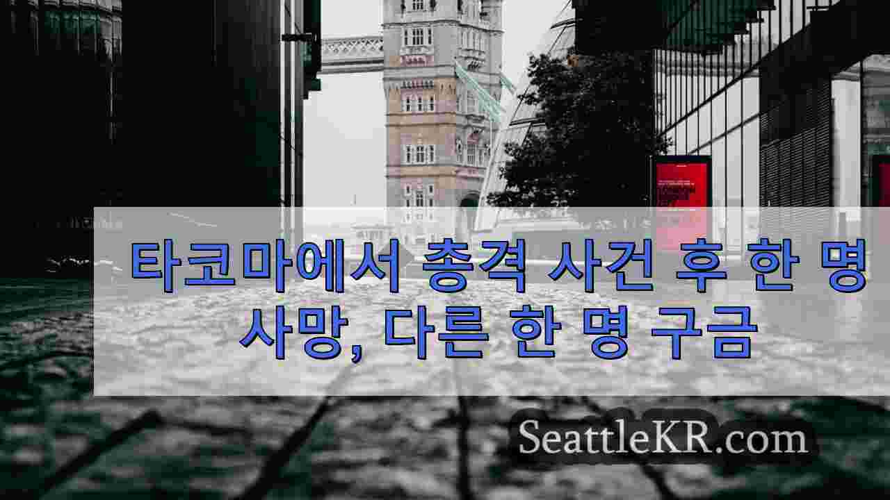 시애틀 뉴스 SeattleKR