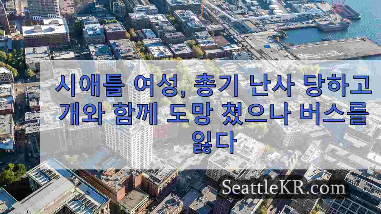 시애틀 뉴스 SeattleKR