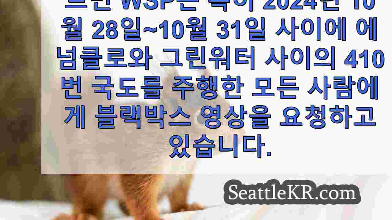 시애틀 뉴스 SeattleKR