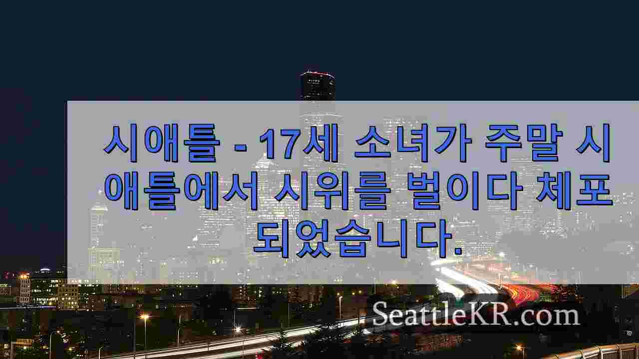 시위 관련 시애틀 재산 피해 혐의로 체포된 17세 소녀