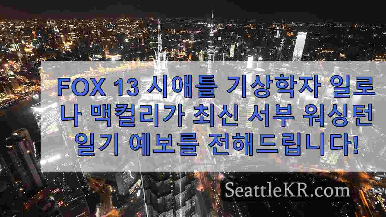 시애틀 뉴스 SeattleKR