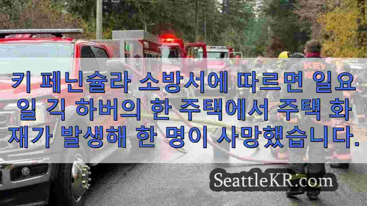 시애틀 뉴스 SeattleKR