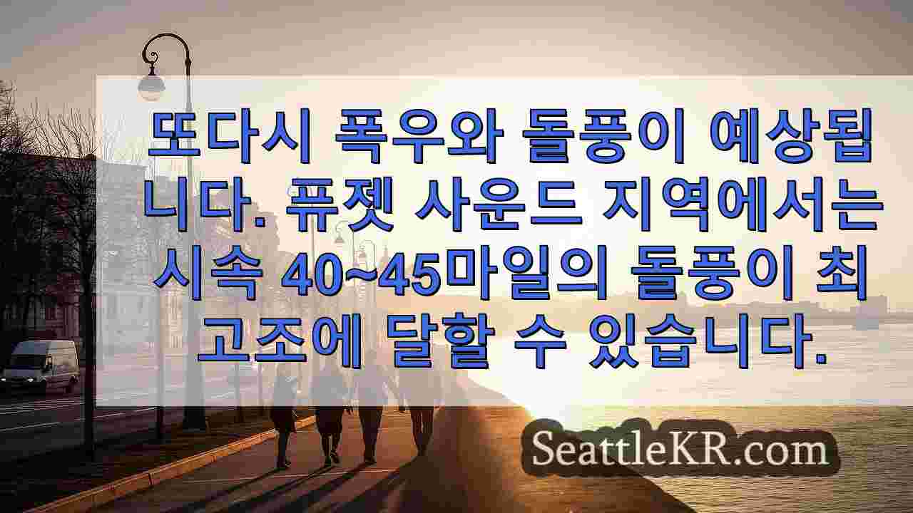 시애틀 뉴스 SeattleKR