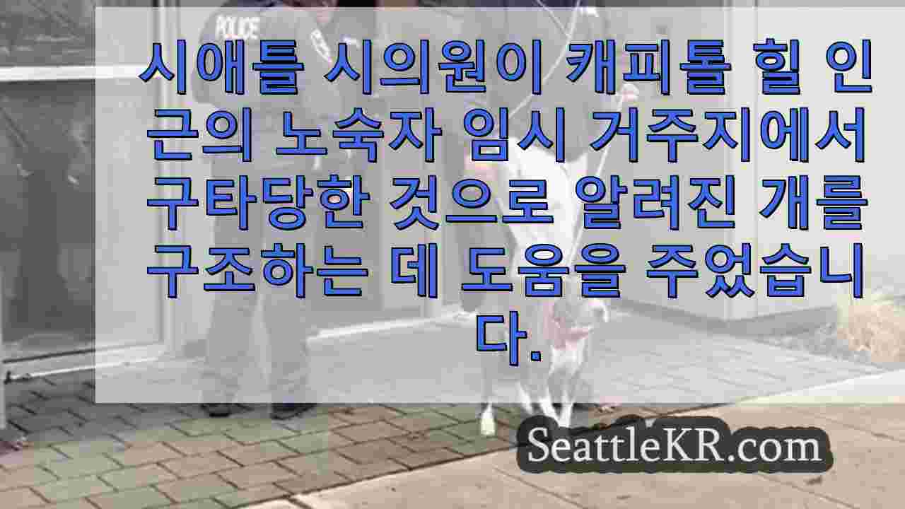 시애틀 뉴스 SeattleKR
