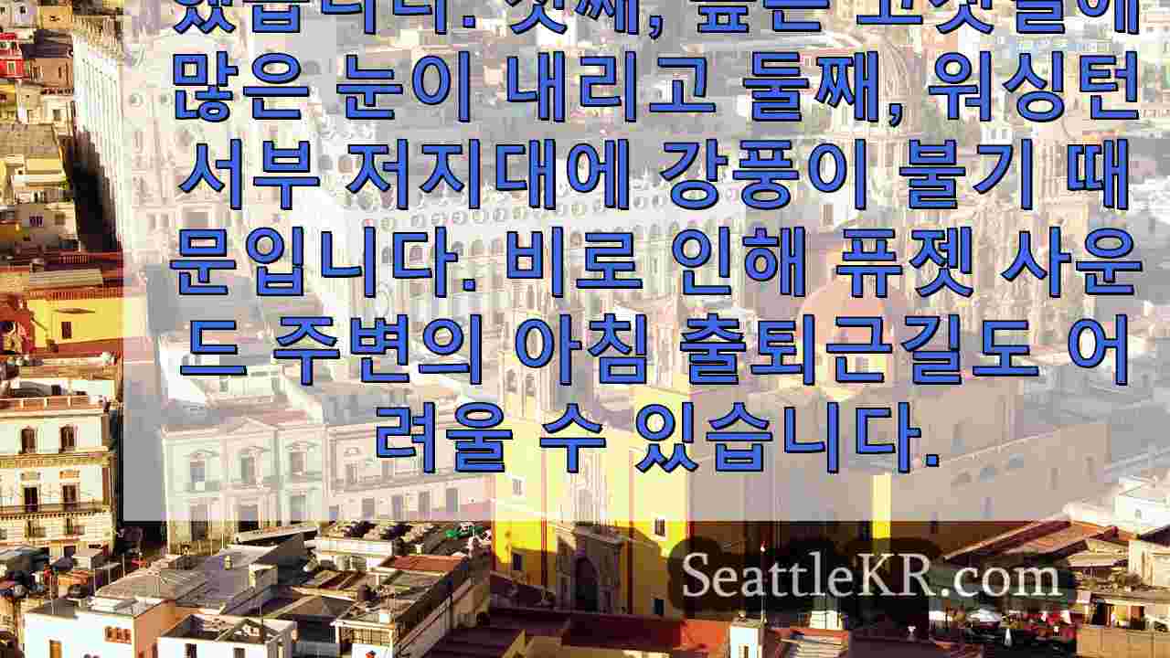 시애틀 뉴스 SeattleKR