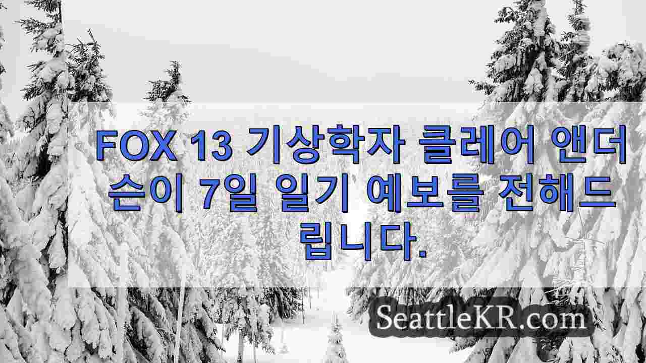 시애틀 뉴스 SeattleKR