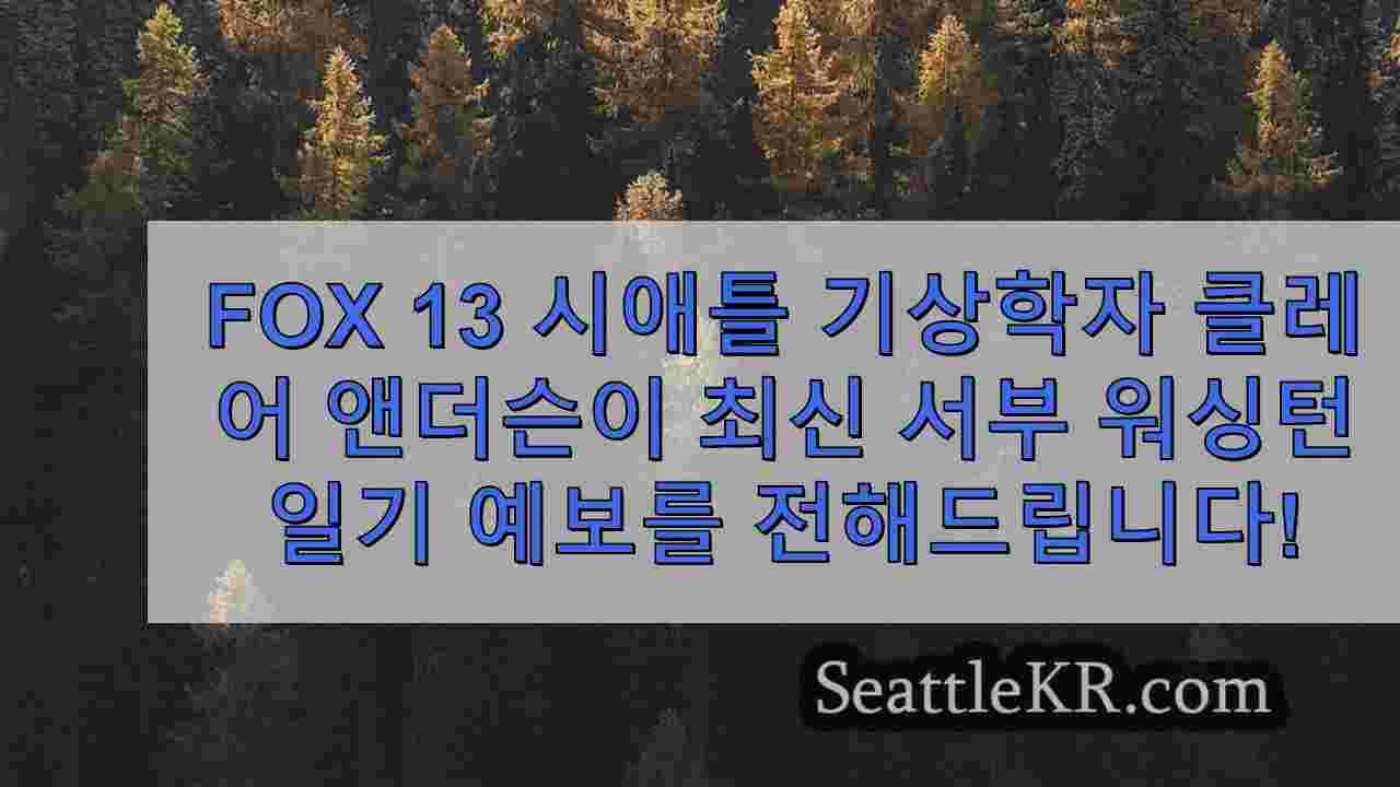 시애틀 뉴스 SeattleKR