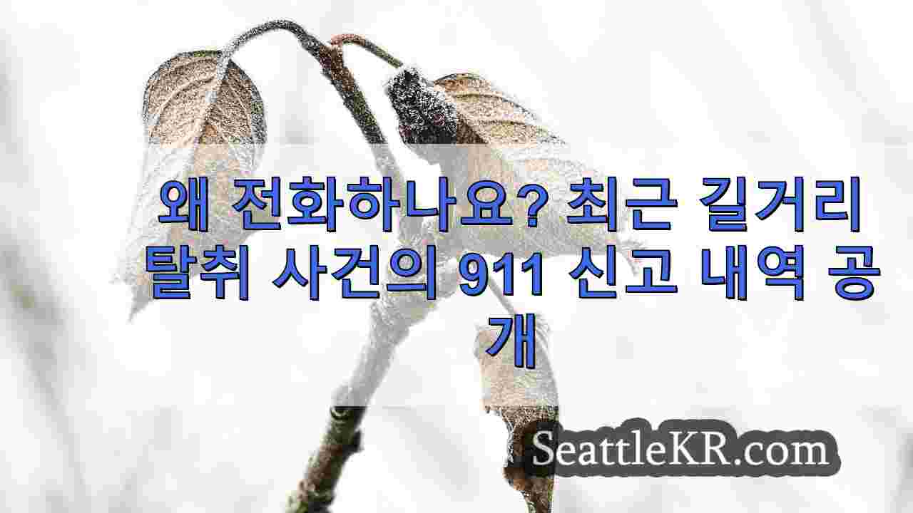 시애틀 뉴스 SeattleKR