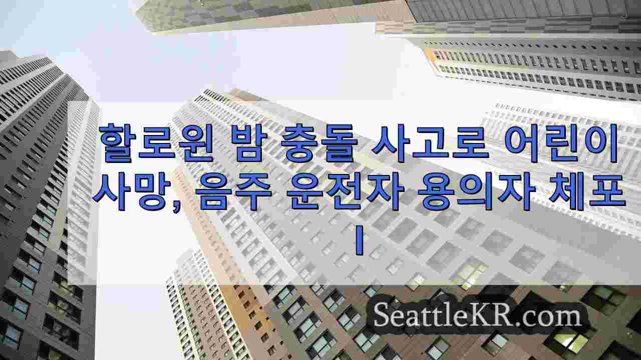 시애틀 뉴스 SeattleKR