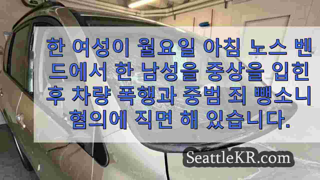 노스 벤드 뺑소니로 남성이 중상을 입은 후 여성 중범 죄 혐의에 직면