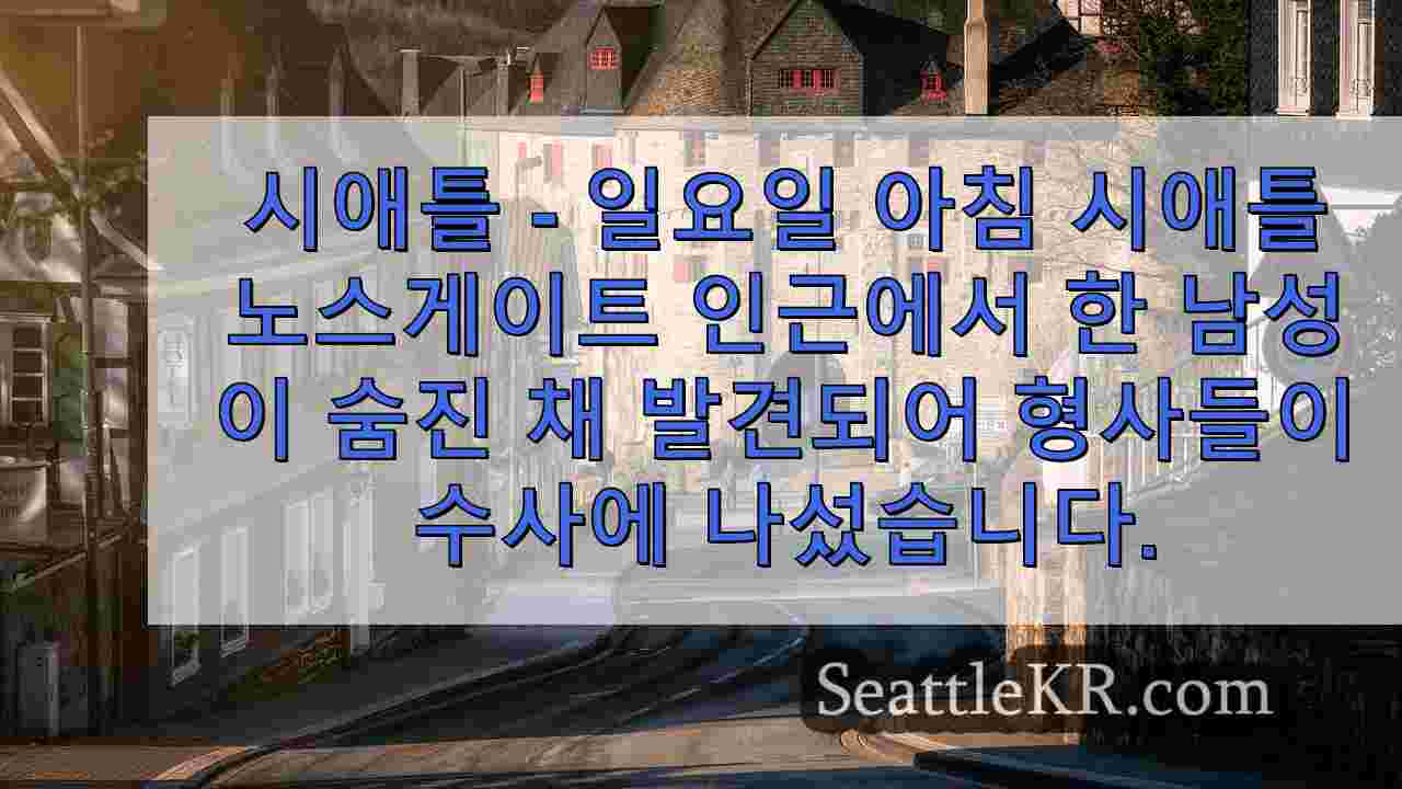 시애틀 뉴스 SeattleKR